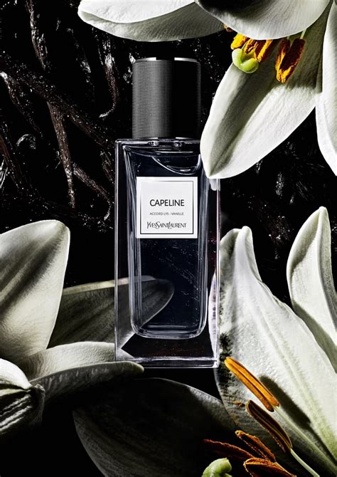 Capeline Yves Saint Laurent for women and men 